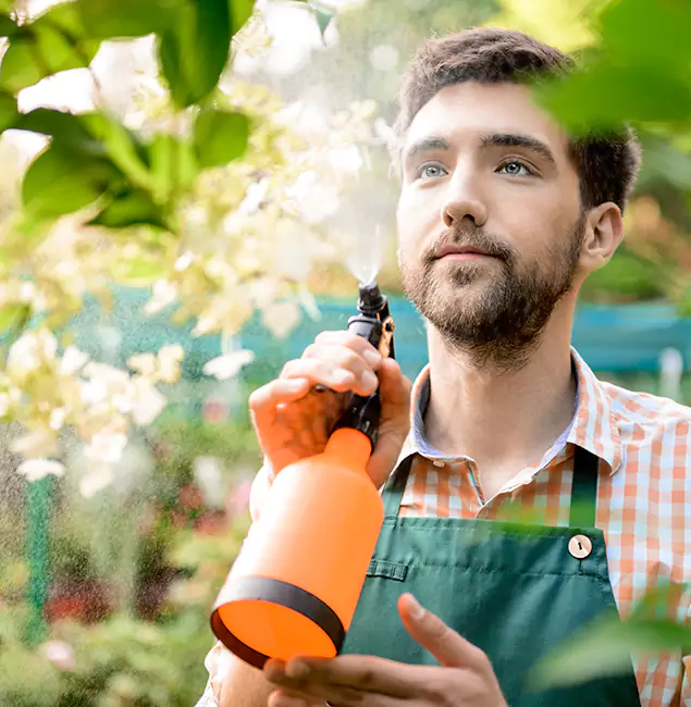 Why Kennesaw Pest Control Pro Is the Best Mosquito Control Company in Kennesaw, GA?