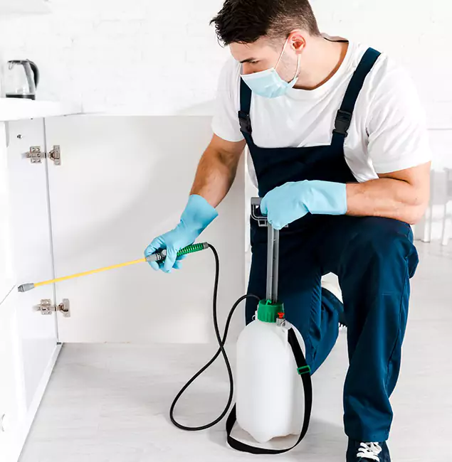 Why Choose Kennesaw Pest Control Pro for Termite Spot Treatment in Kennesaw, GA?