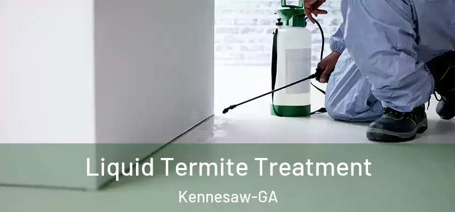  Liquid Termite Treatment Kennesaw-GA