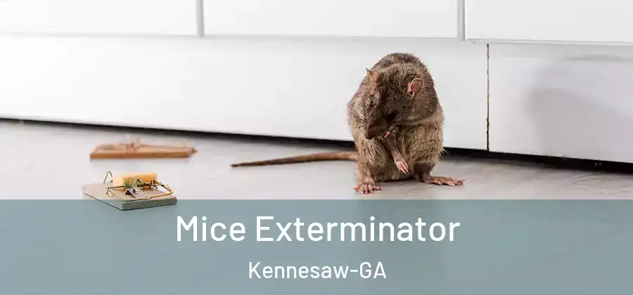  Mice Exterminator Kennesaw-GA