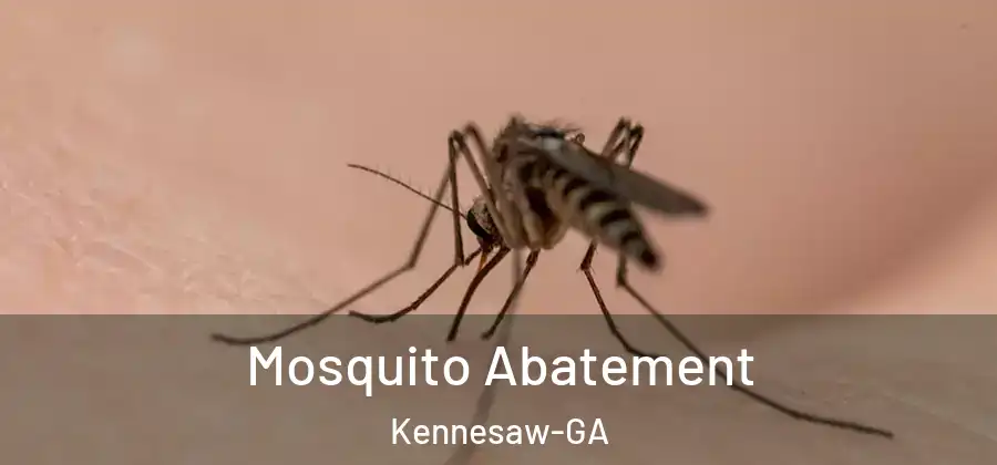  Mosquito Abatement Kennesaw-GA