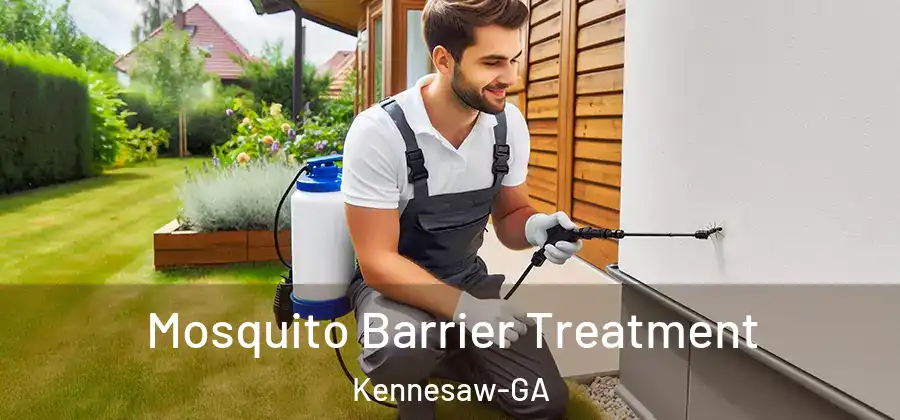  Mosquito Barrier Treatment Kennesaw-GA