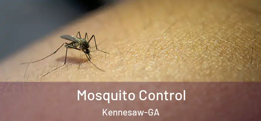  Mosquito Control Kennesaw-GA