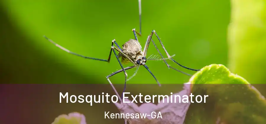 Mosquito Exterminator Kennesaw-GA