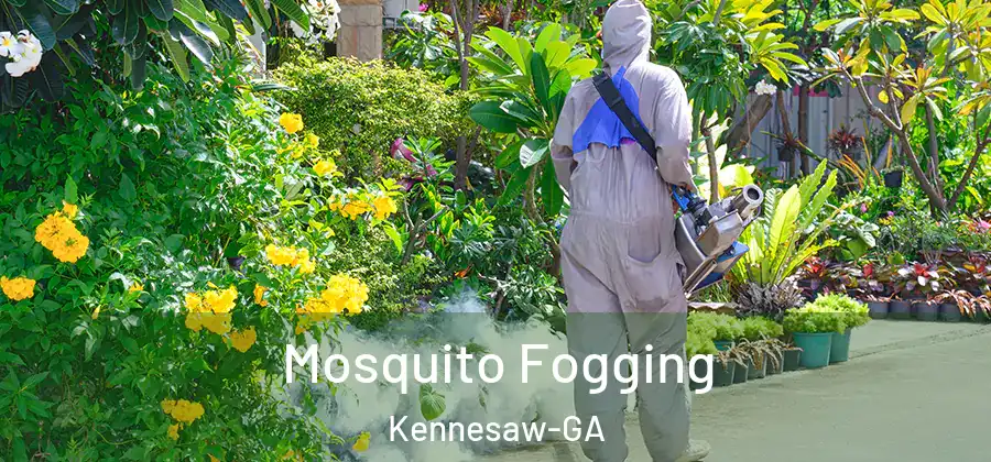  Mosquito Fogging Kennesaw-GA
