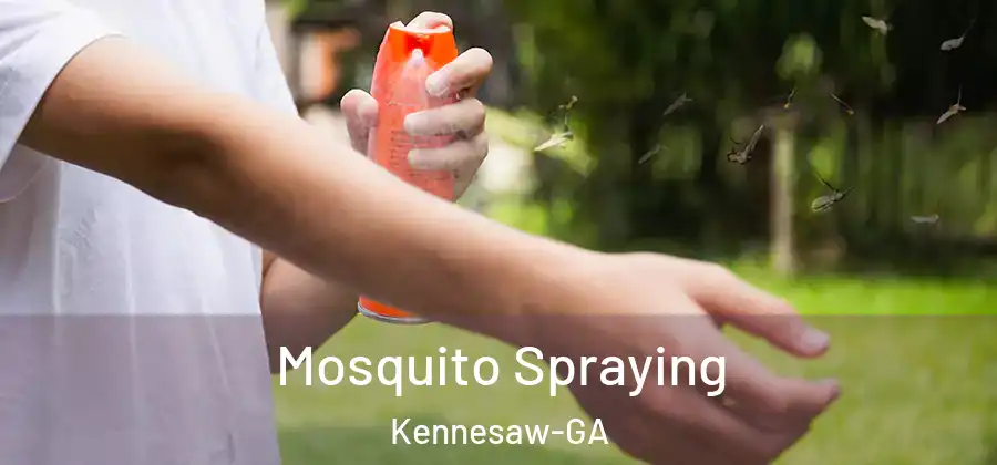 Mosquito Spraying Kennesaw-GA