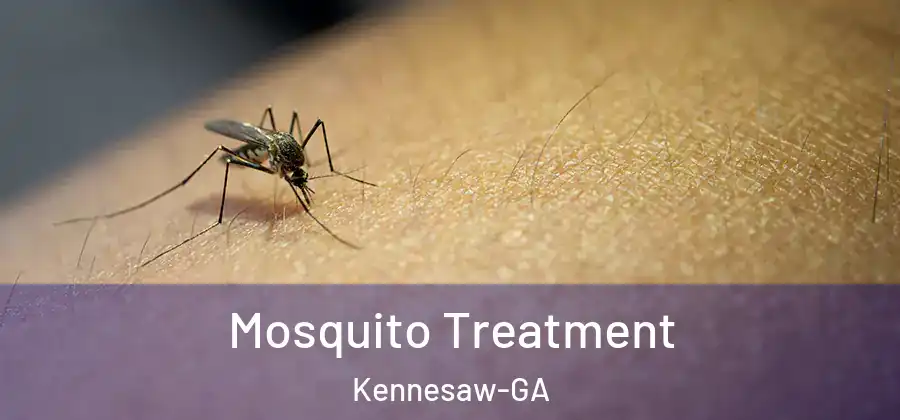  Mosquito Treatment Kennesaw-GA