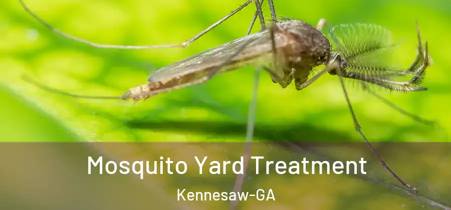  Mosquito Yard Treatment Kennesaw-GA