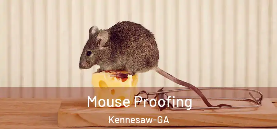  Mouse Proofing Kennesaw-GA