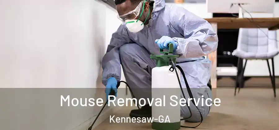  Mouse Removal Service Kennesaw-GA