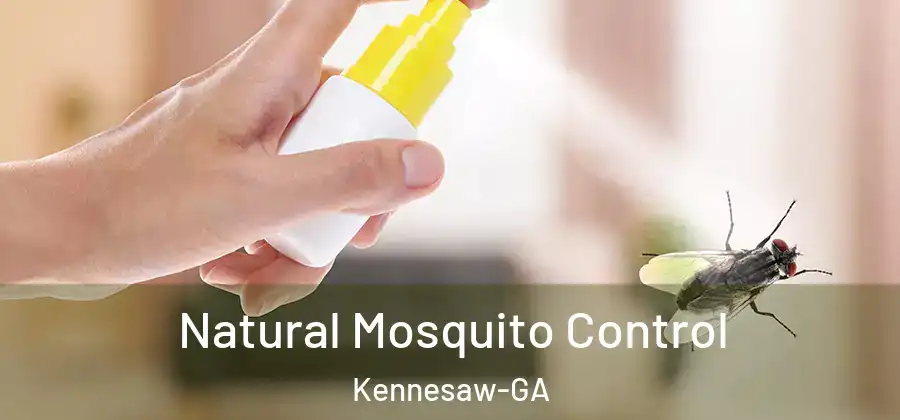  Natural Mosquito Control Kennesaw-GA