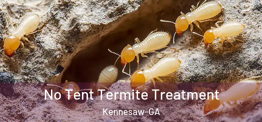  No Tent Termite Treatment Kennesaw-GA