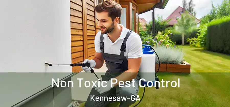  Non Toxic Pest Control Kennesaw-GA