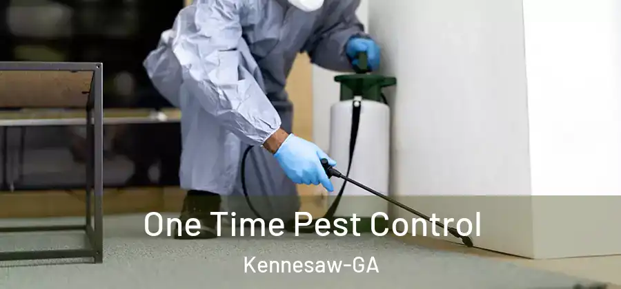 One Time Pest Control Kennesaw-GA