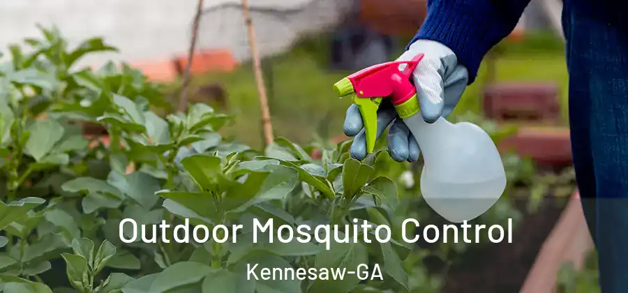  Outdoor Mosquito Control Kennesaw-GA
