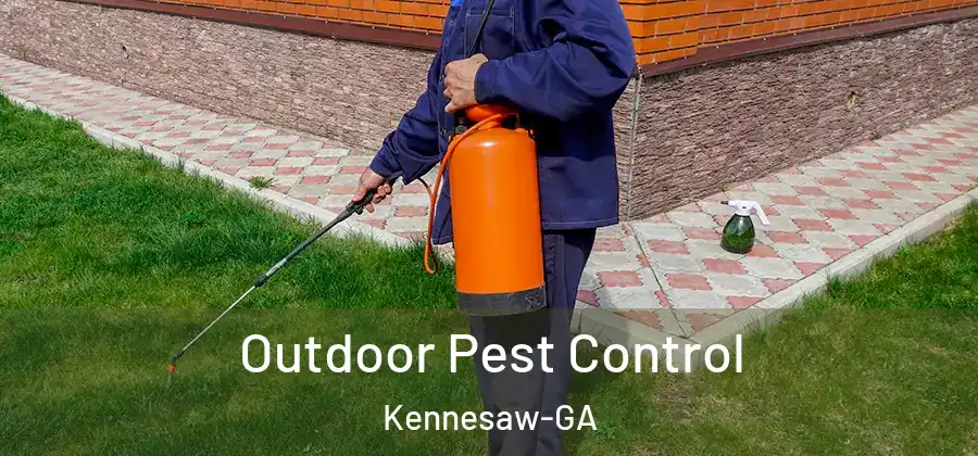 Outdoor Pest Control Kennesaw-GA