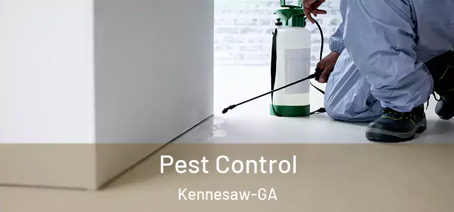Pest Control Kennesaw-GA