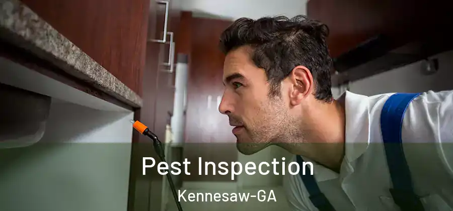 Pest Inspection Kennesaw-GA