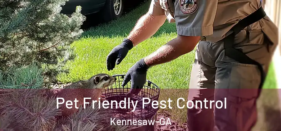 Pet Friendly Pest Control Kennesaw-GA