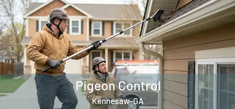  Pigeon Control Kennesaw-GA