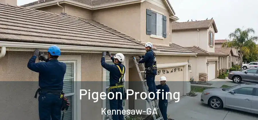  Pigeon Proofing Kennesaw-GA