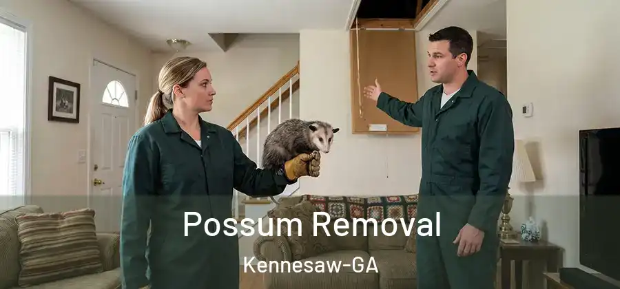  Possum Removal Kennesaw-GA
