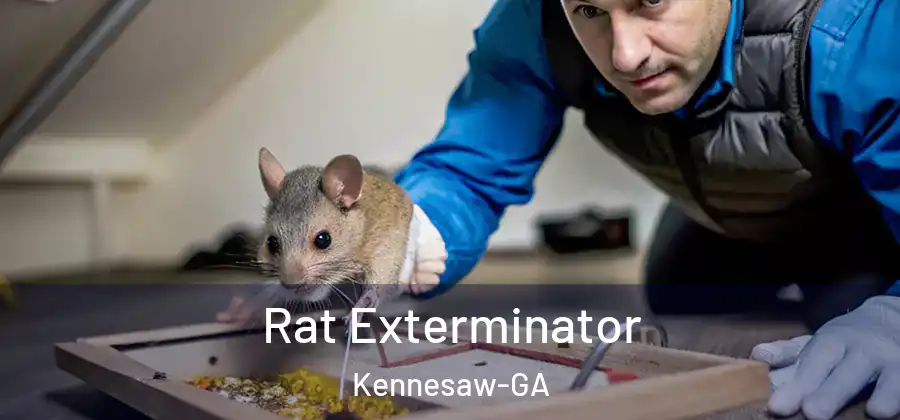  Rat Exterminator Kennesaw-GA