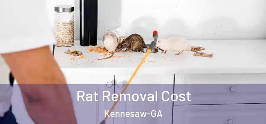 Rat Removal Cost Kennesaw-GA