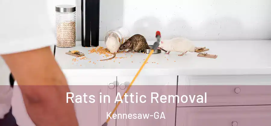  Rats in Attic Removal Kennesaw-GA