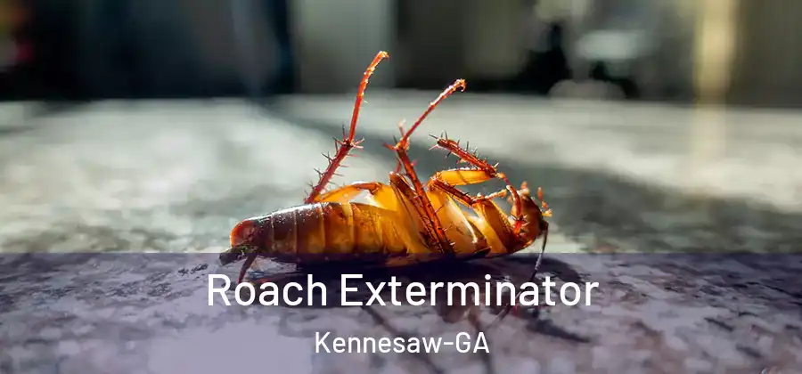  Roach Exterminator Kennesaw-GA