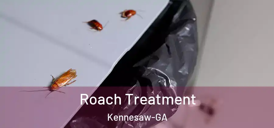  Roach Treatment Kennesaw-GA