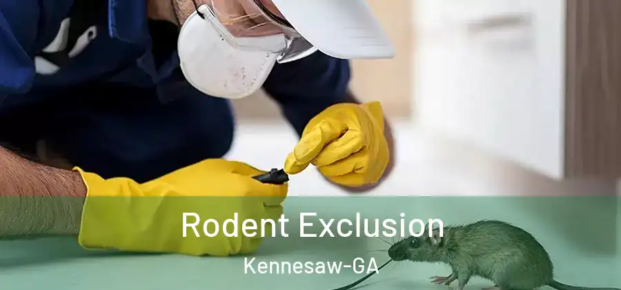  Rodent Exclusion Kennesaw-GA