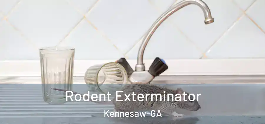 Rodent Exterminator Kennesaw-GA