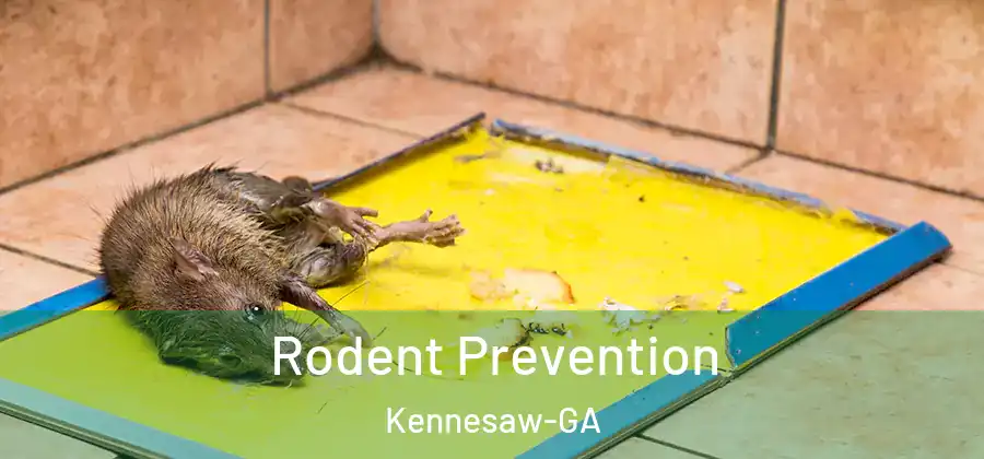  Rodent Prevention Kennesaw-GA