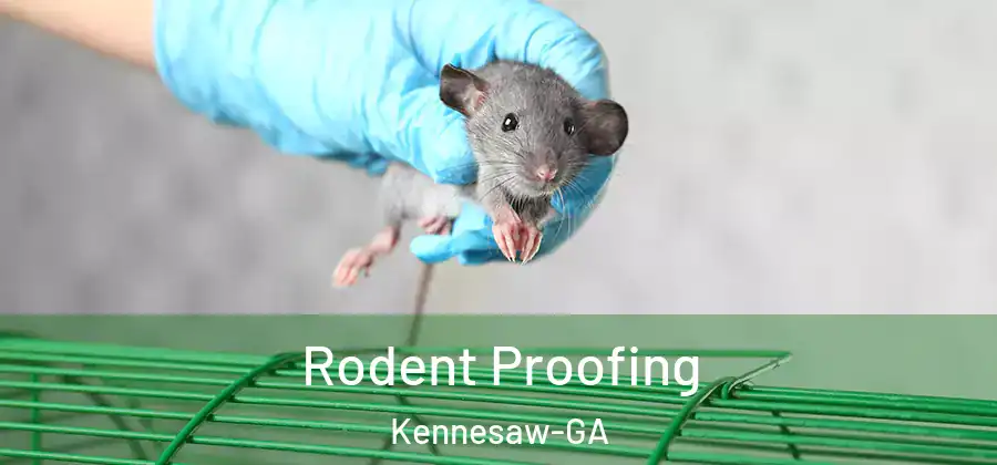  Rodent Proofing Kennesaw-GA