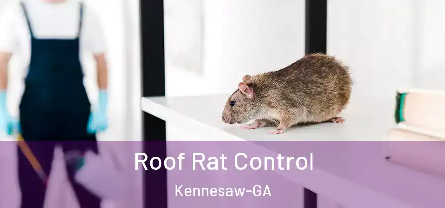  Roof Rat Control Kennesaw-GA