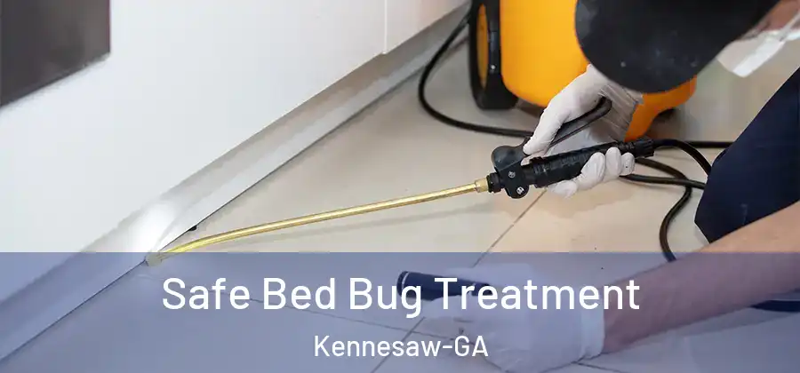  Safe Bed Bug Treatment Kennesaw-GA