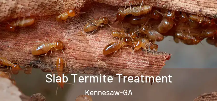  Slab Termite Treatment Kennesaw-GA