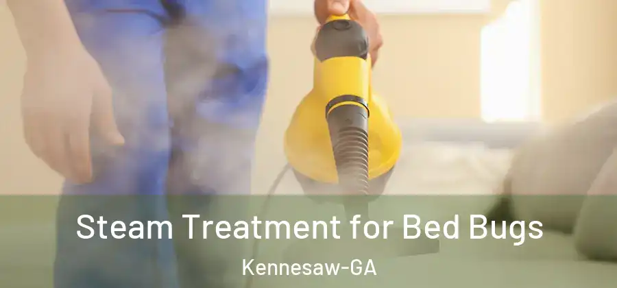  Steam Treatment for Bed Bugs Kennesaw-GA