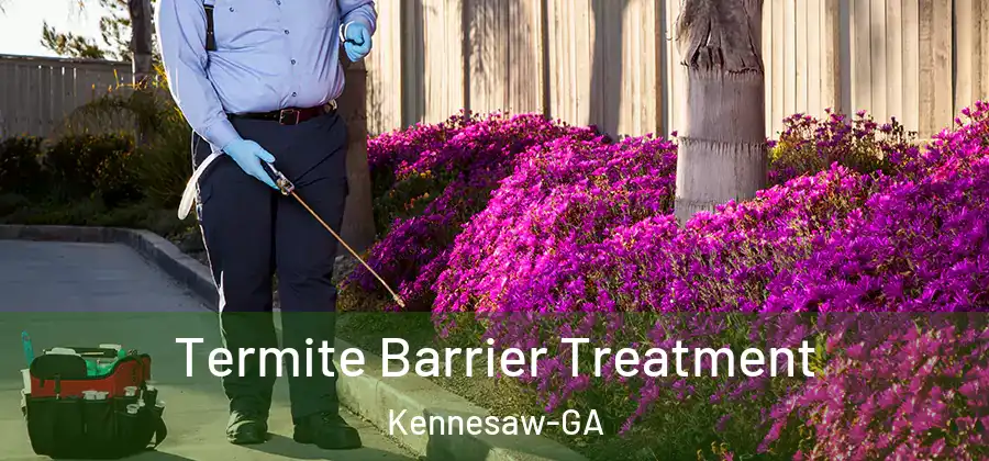  Termite Barrier Treatment Kennesaw-GA