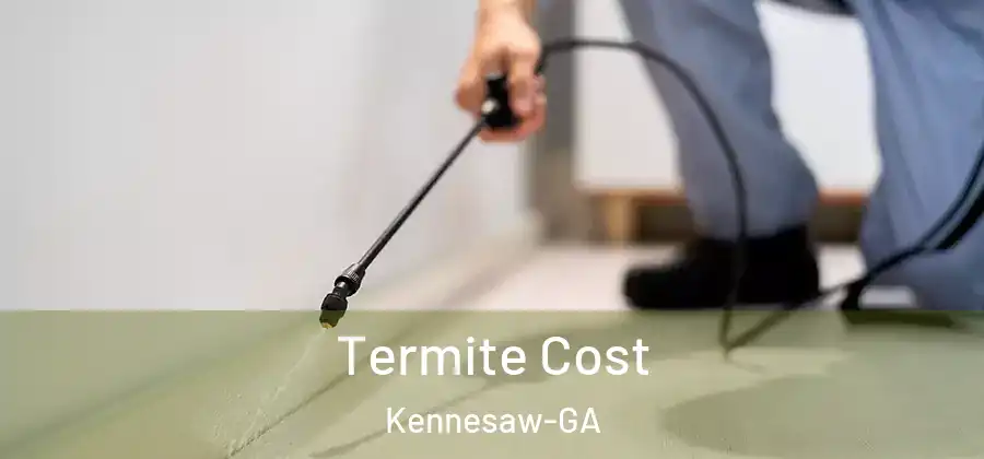  Termite Cost Kennesaw-GA