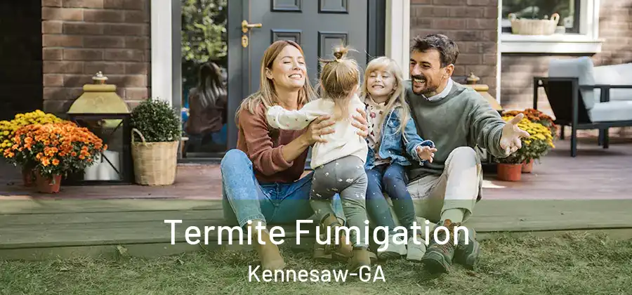 Termite Fumigation Kennesaw-GA