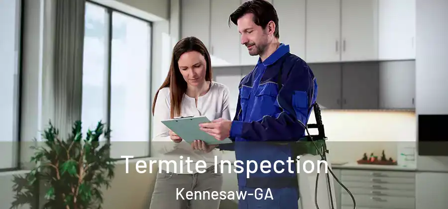  Termite Inspection Kennesaw-GA