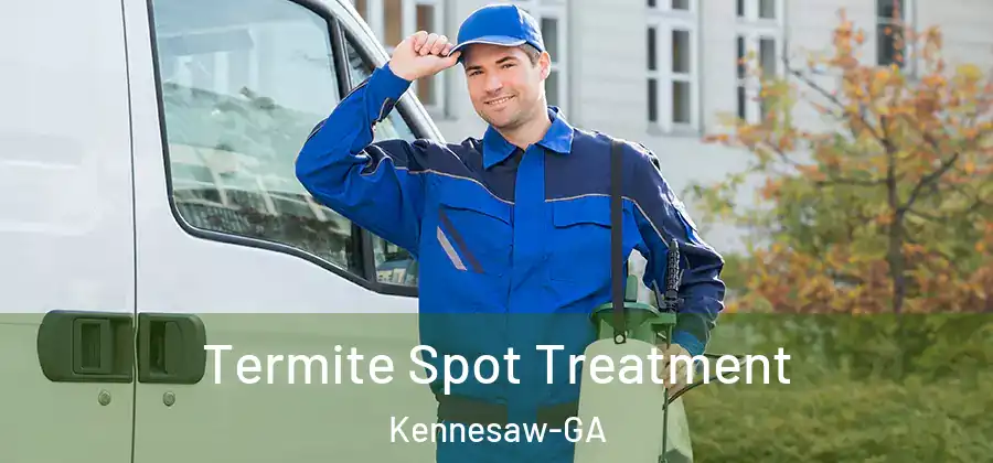  Termite Spot Treatment Kennesaw-GA