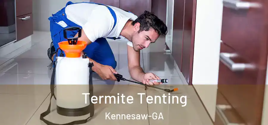  Termite Tenting Kennesaw-GA