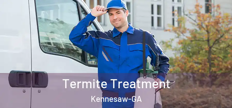  Termite Treatment Kennesaw-GA