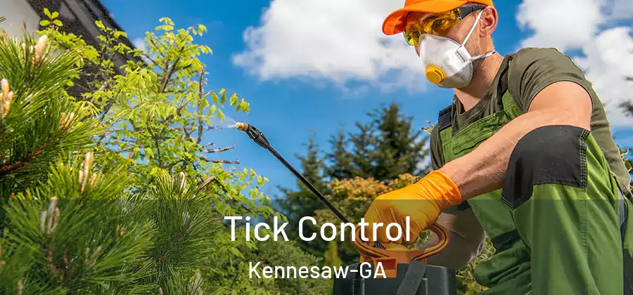  Tick Control Kennesaw-GA