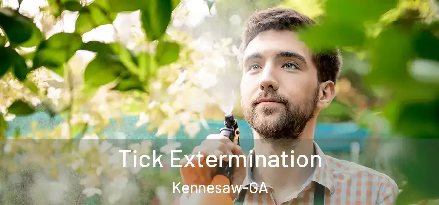 Tick Extermination Kennesaw-GA