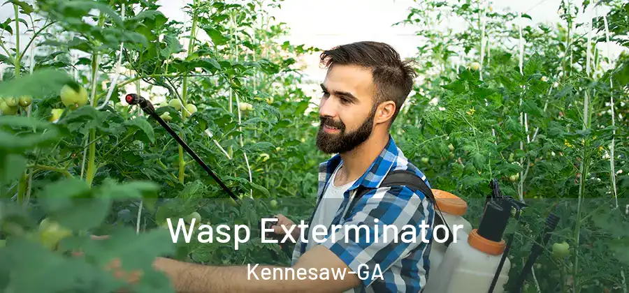  Wasp Exterminator Kennesaw-GA
