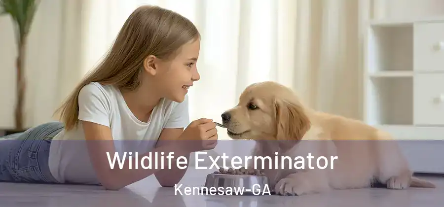 Wildlife Exterminator Kennesaw-GA